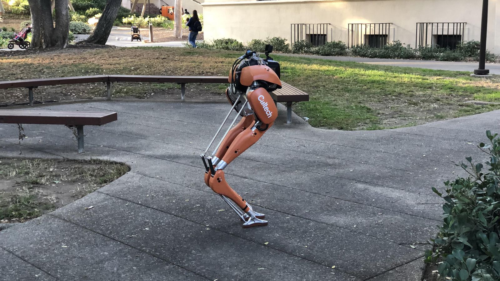 Manusia Setengah Robot